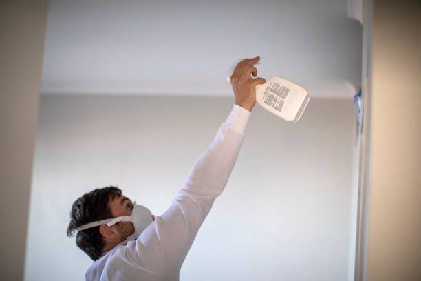 Best Mold Testing and Inspection Services in Leitchfield, KY