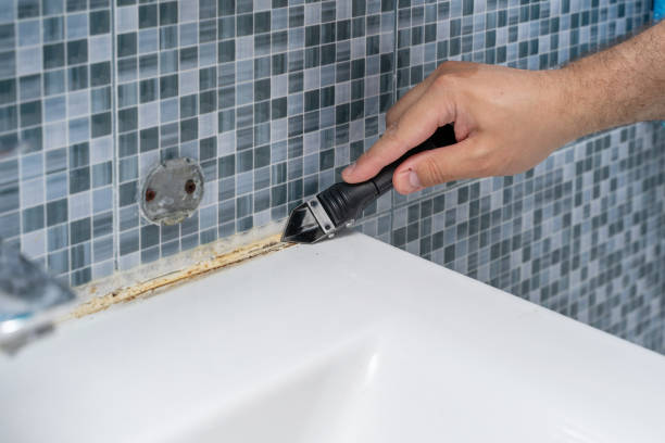 Best Commercial Mold Remediation in Leitchfield, KY